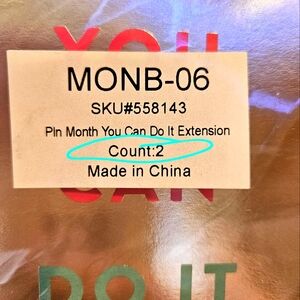 'YOU CAN DO IT' Happy Planner extension packs 2 packs